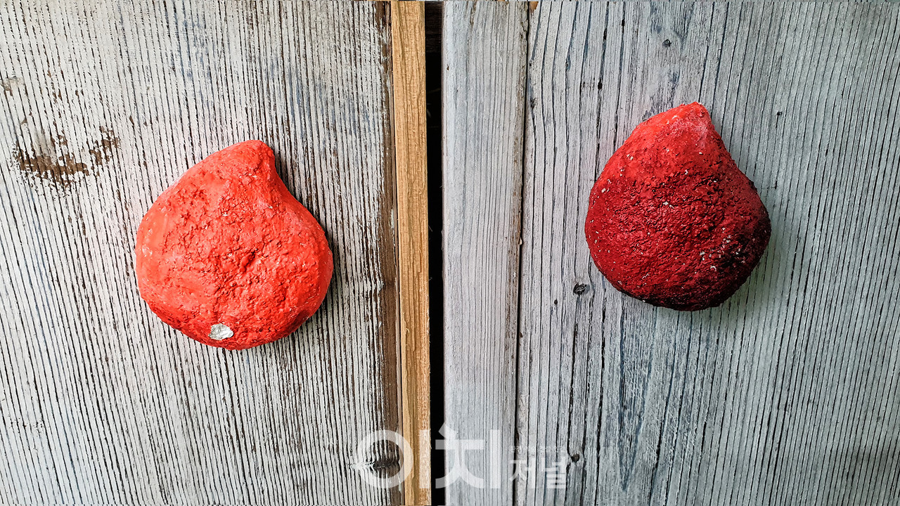 이미지 제공 - 박미애 사진작가