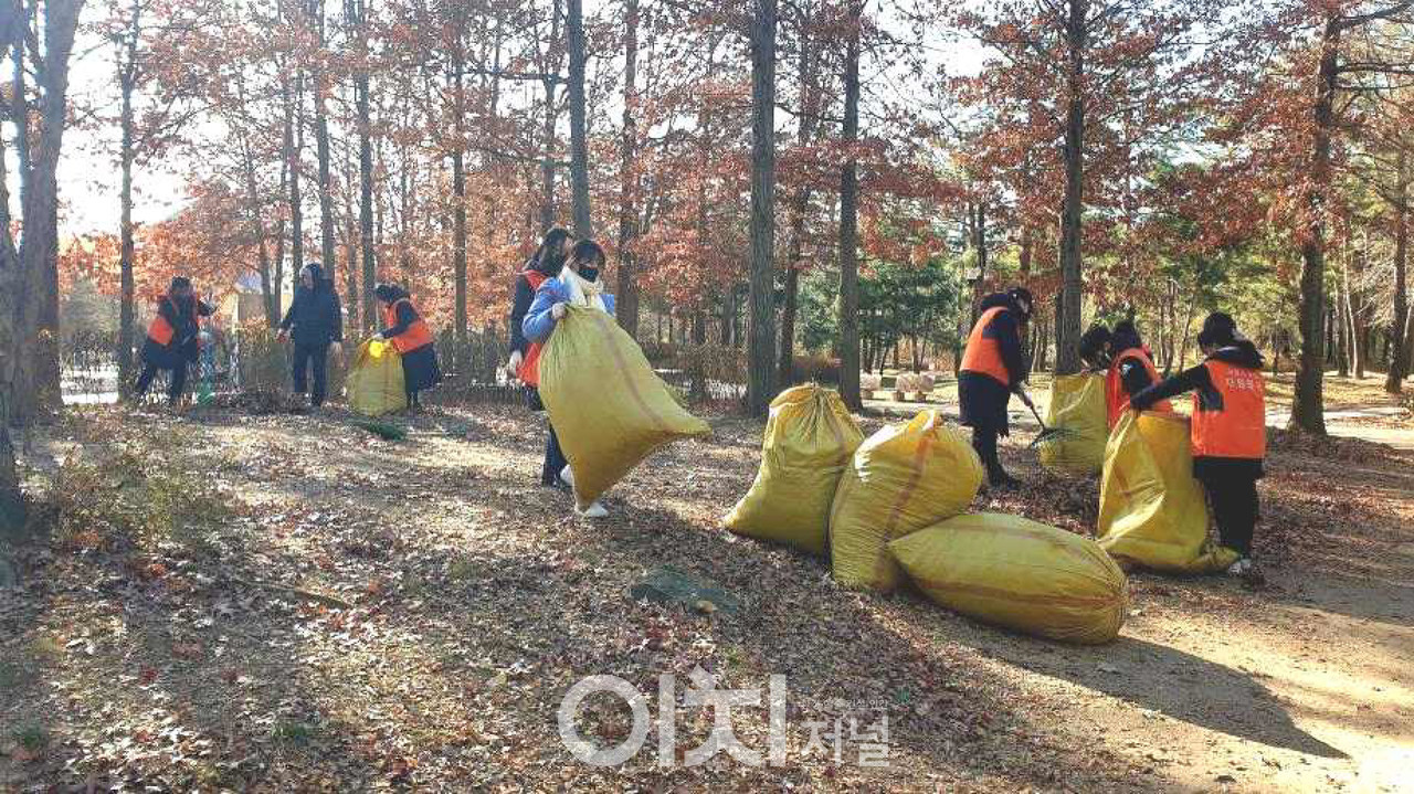 낙엽수거 자원봉사 활동 (자료제공 : 서울시)