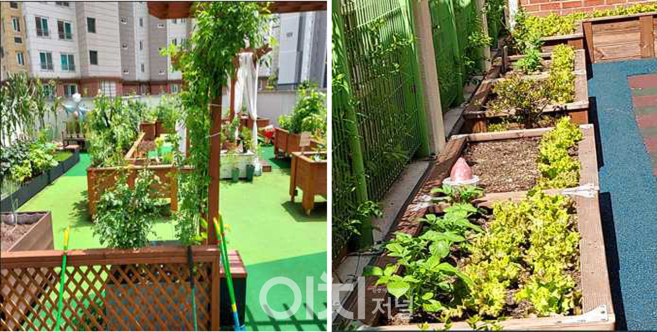 부산시 도시텃밭 전경(왼쪽부터 '강서구 아파트 옥상 공영텃밭', '남구 아파트내 어린이집 텃밭') (자료제공 : 부산시)