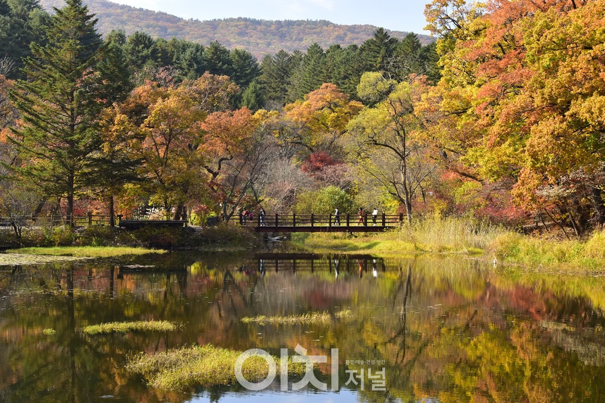 광릉숲 (자료제공 : 경기도)