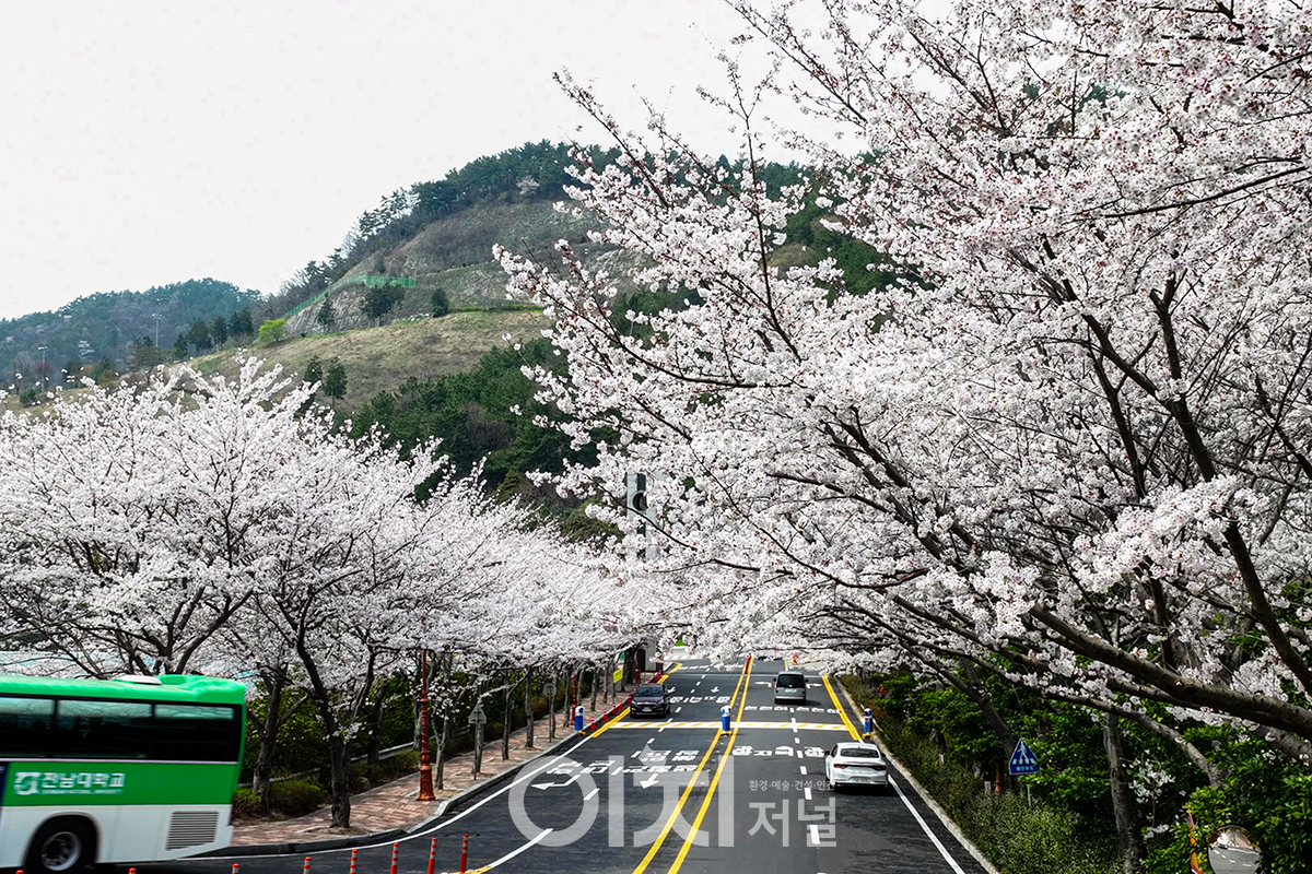 전남대학교 여수캠퍼스