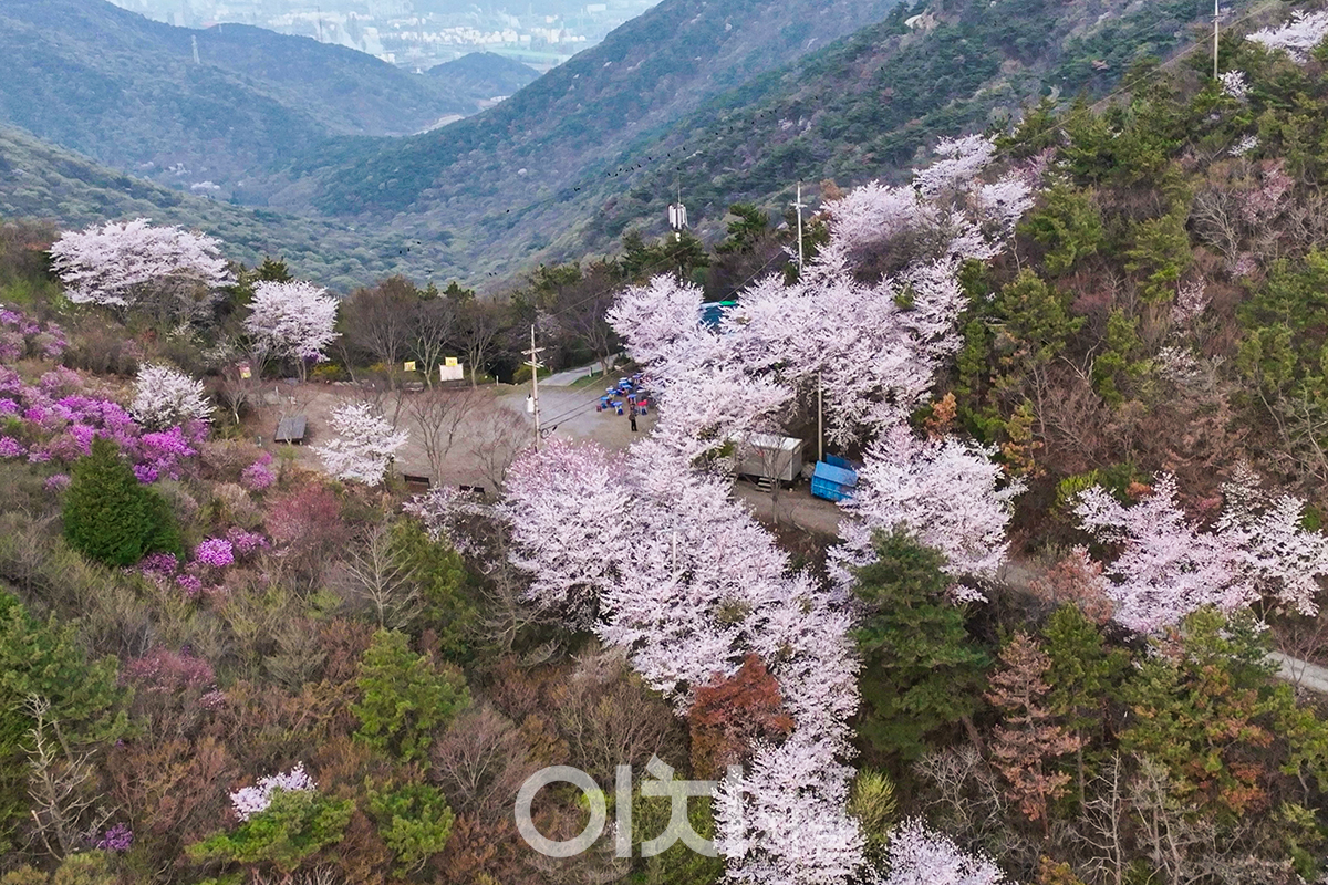 영취산 도솔암 길