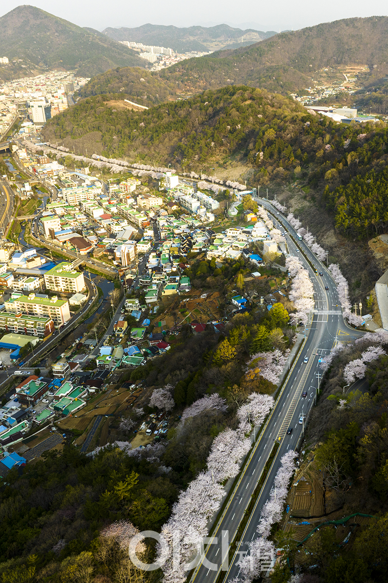 중앙여고 가는 윗길