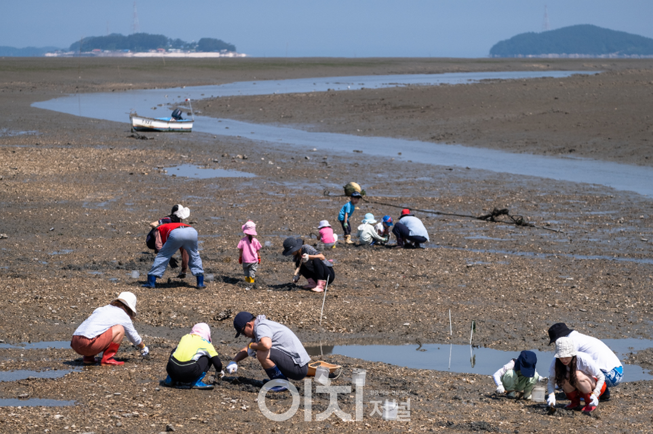 중리마을 갯벌체험