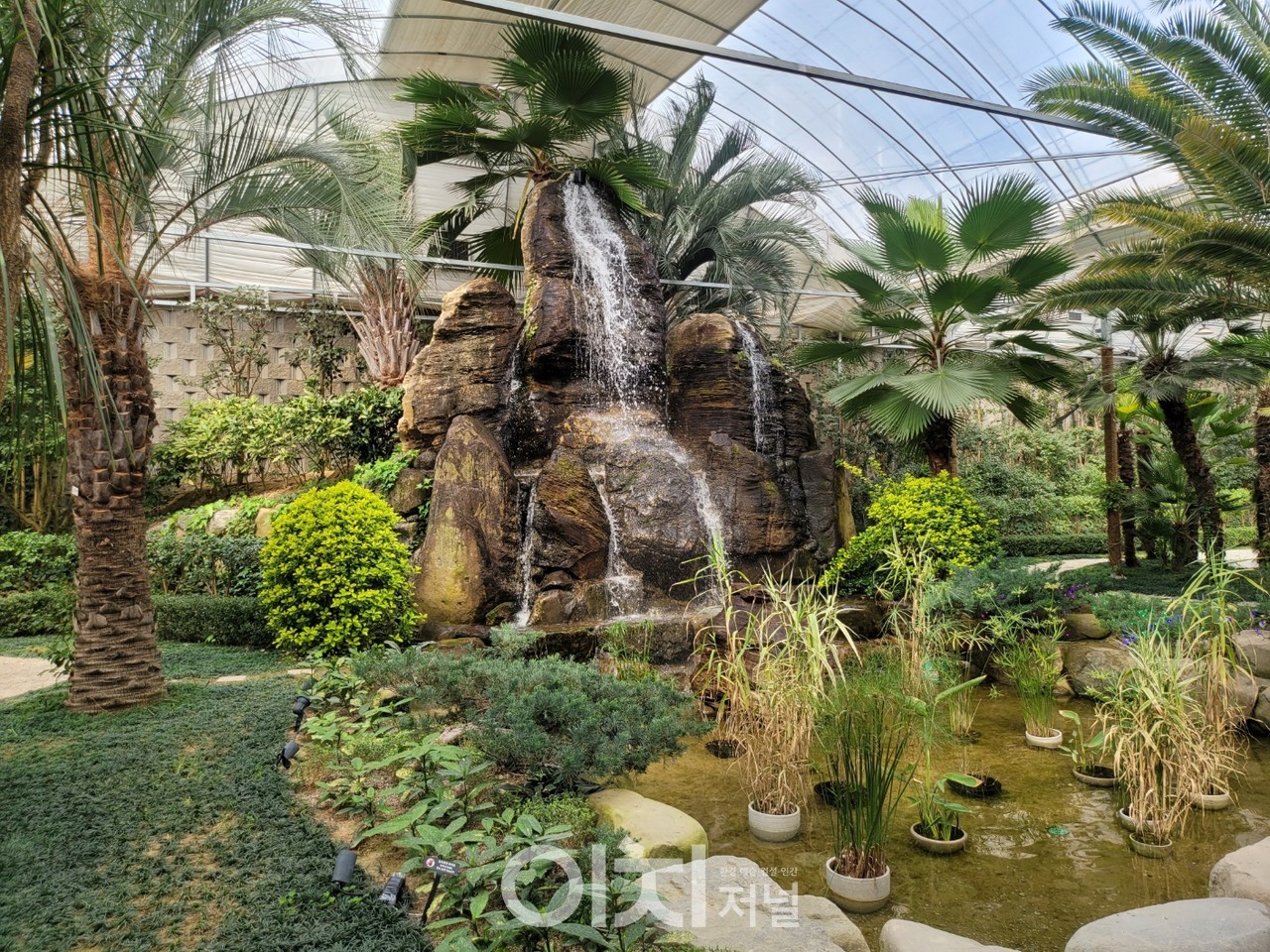 왕국포레스트 내엔 연대나무들이 많아 이국적인 분위기가 느껴진다