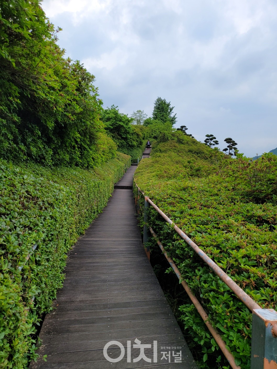 데크길로 만들어 놓은 무장애길