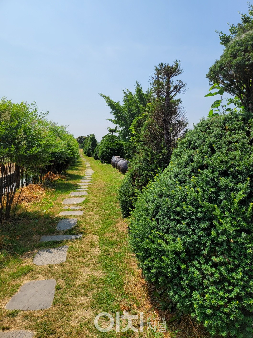 고스락의 주목 산책길