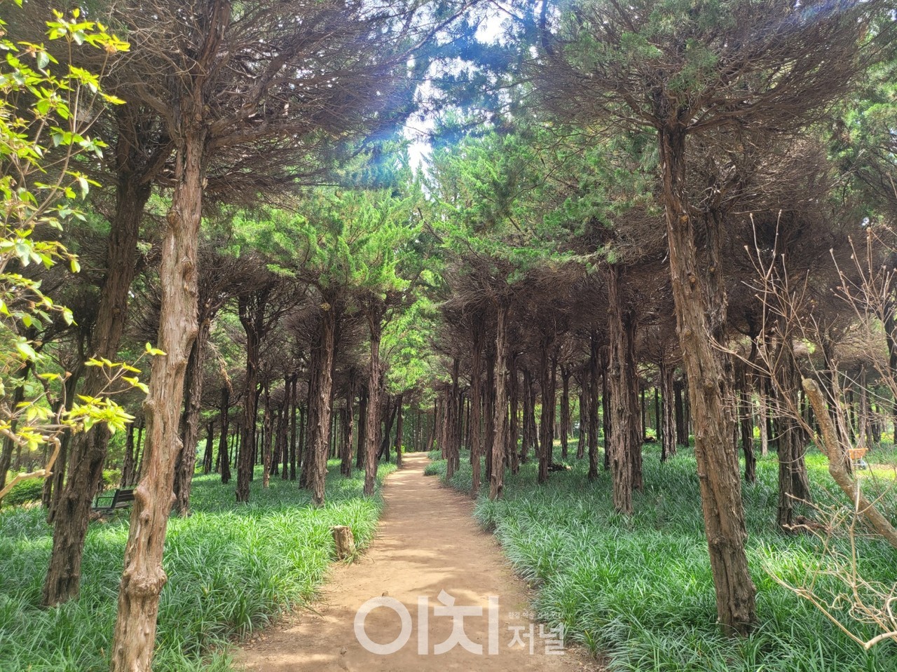 아가페가든 산책로