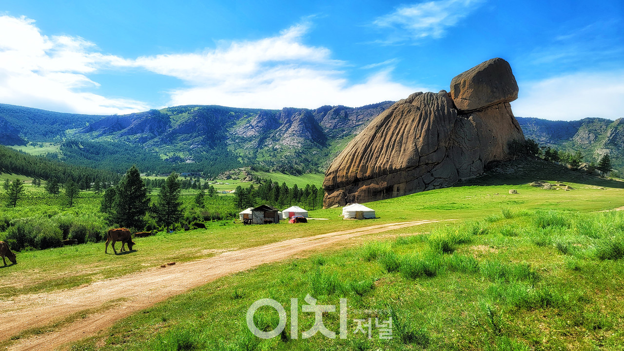 ⓒ박미애 - 거북바위(Turtle Rock)