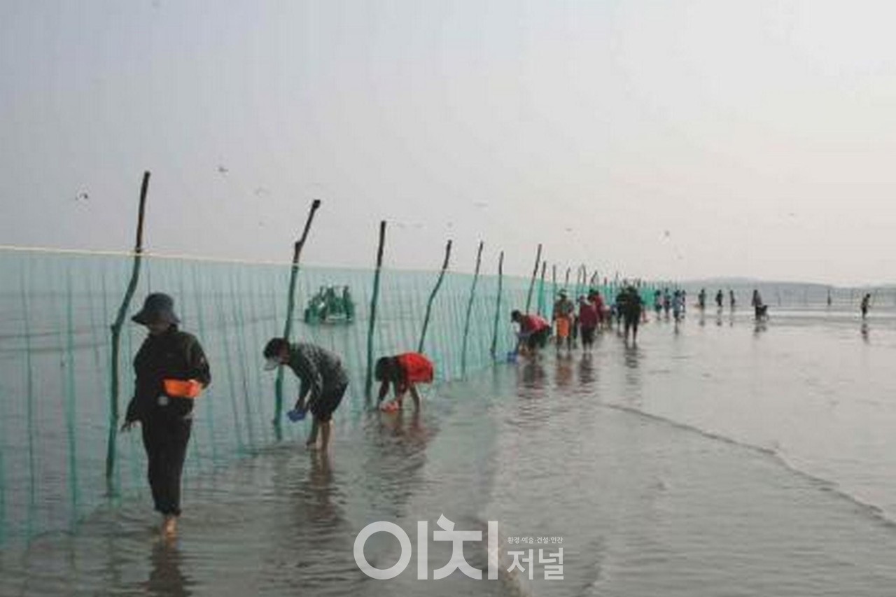 전북 고창 장호어촌체험휴양마을
