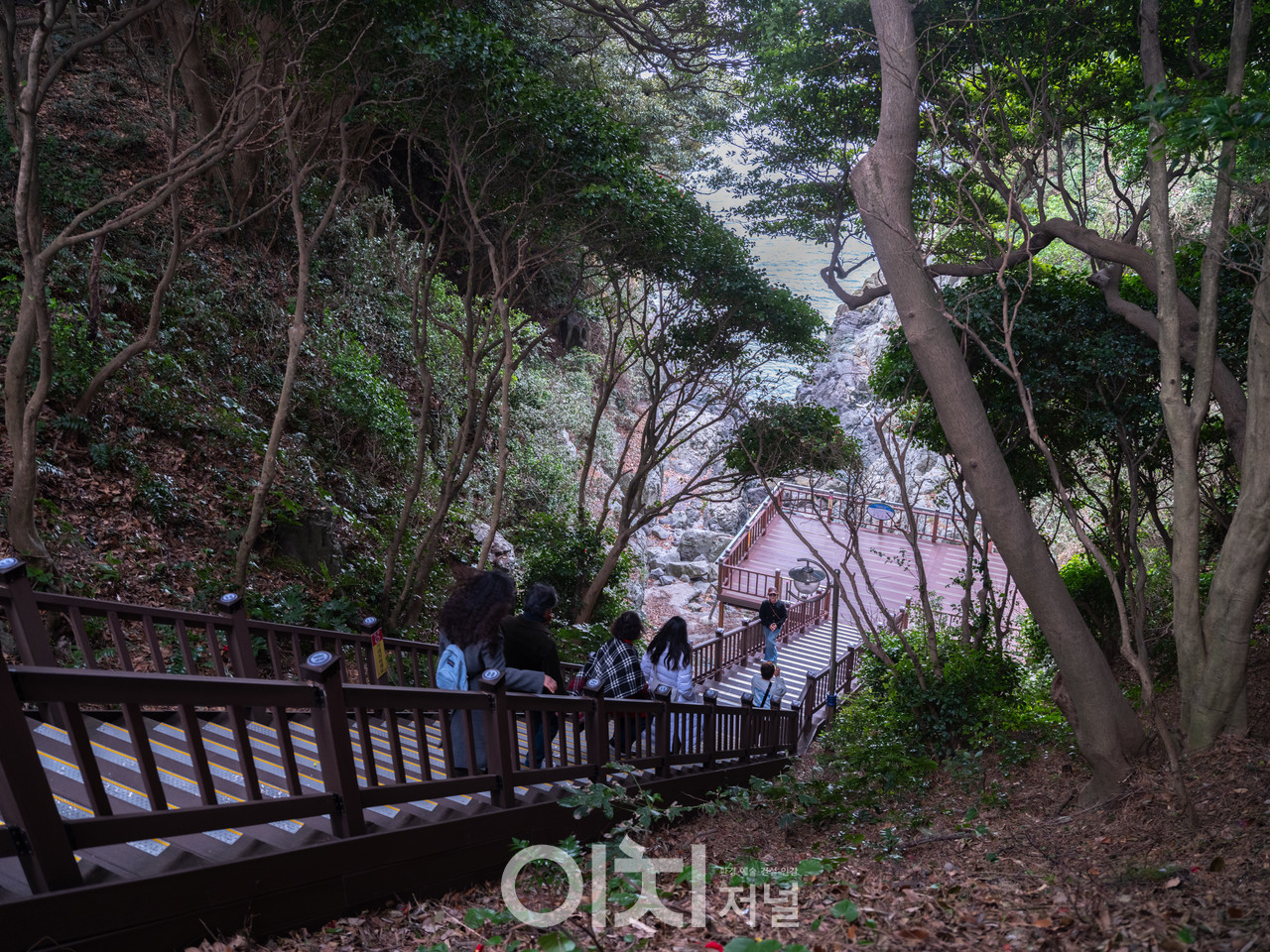 ⓒ이미현 사진작가