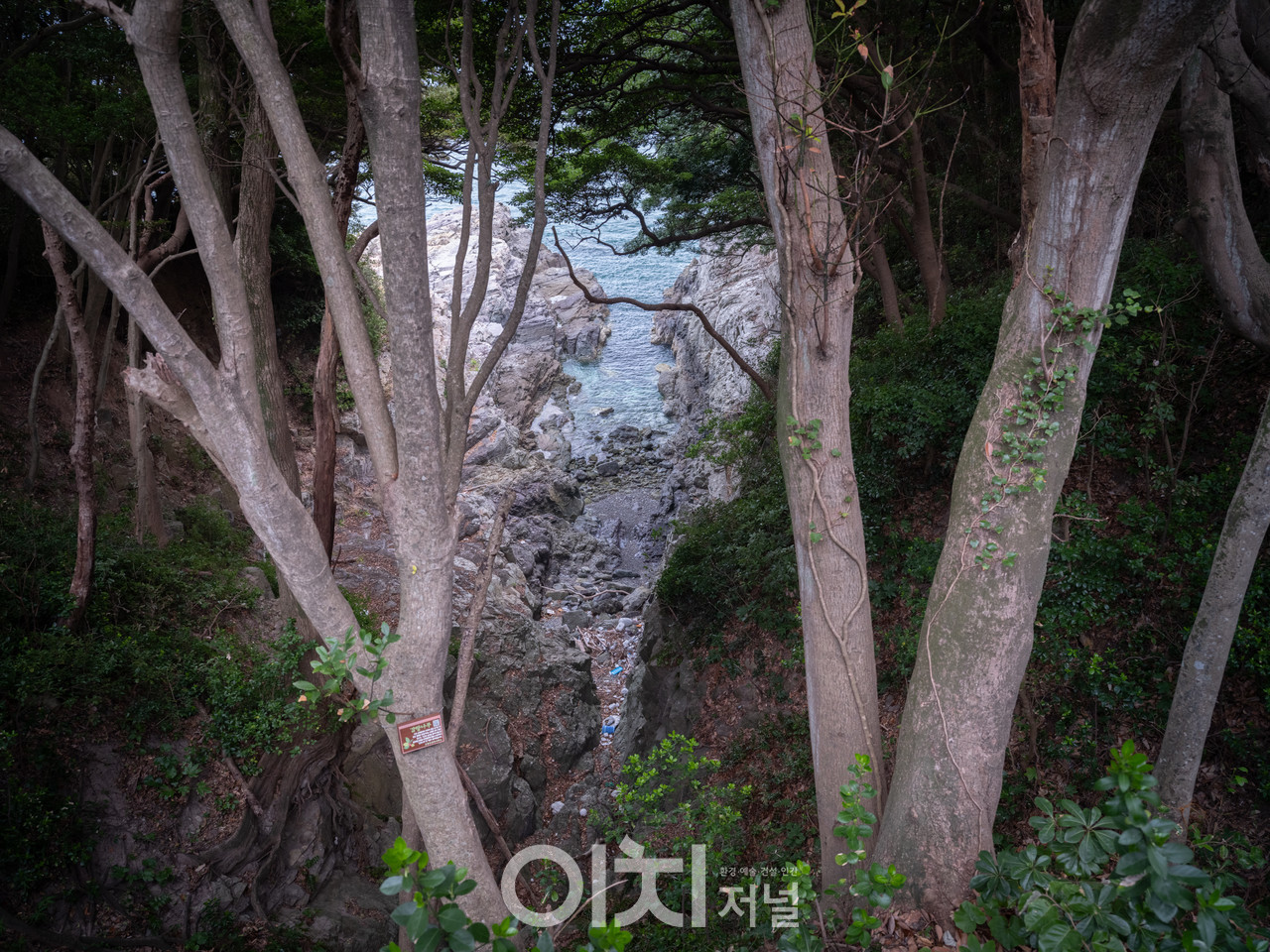 ⓒ이미현 사진작가