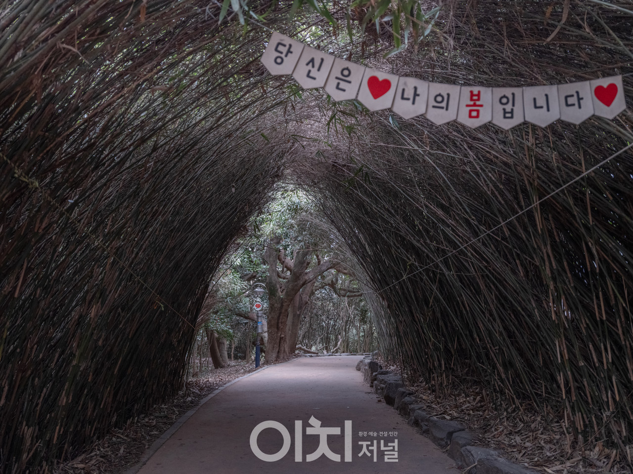 ⓒ이미현 사진작가