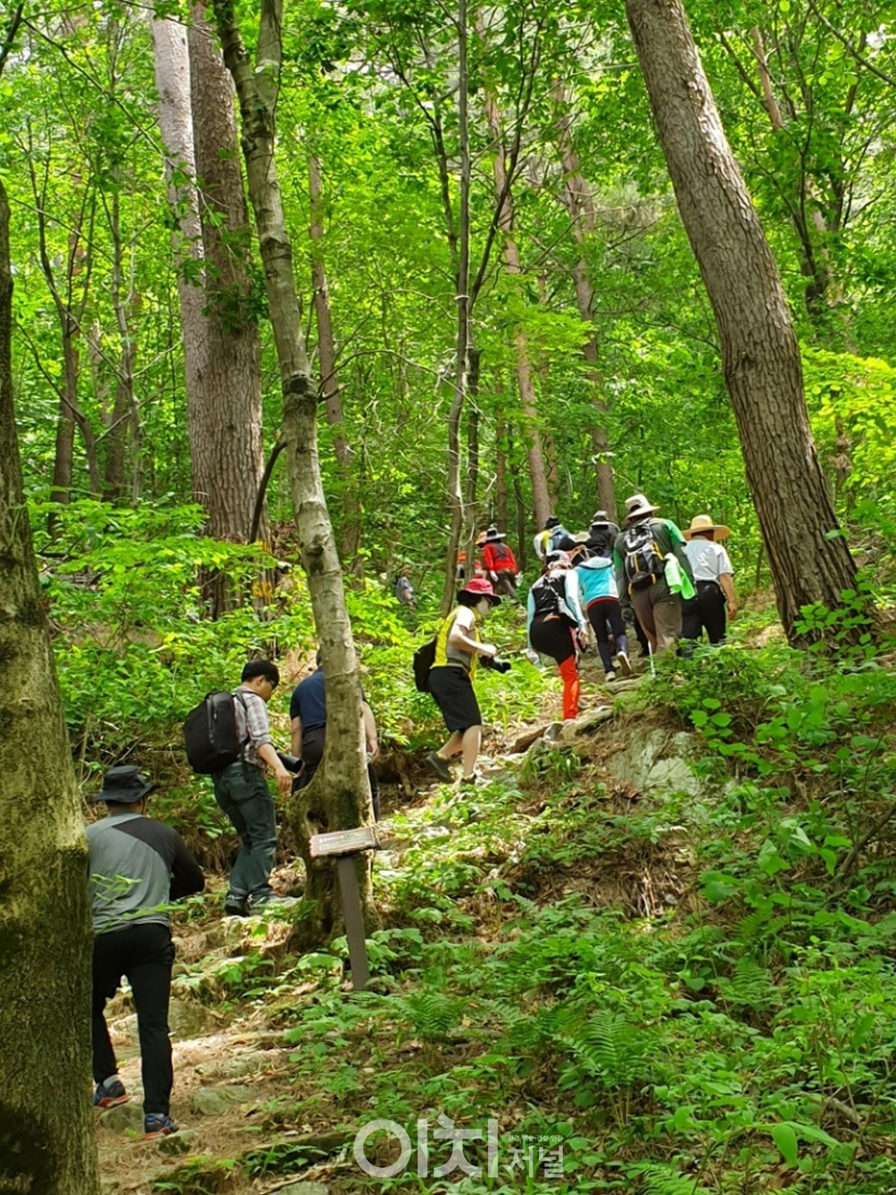 문수산 / 산림청 제공