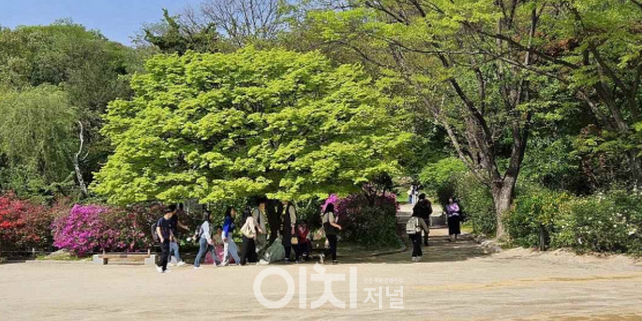궁궐숲 나무 그늘을 즐기는 시민들_창경궁 /  산림청 제공