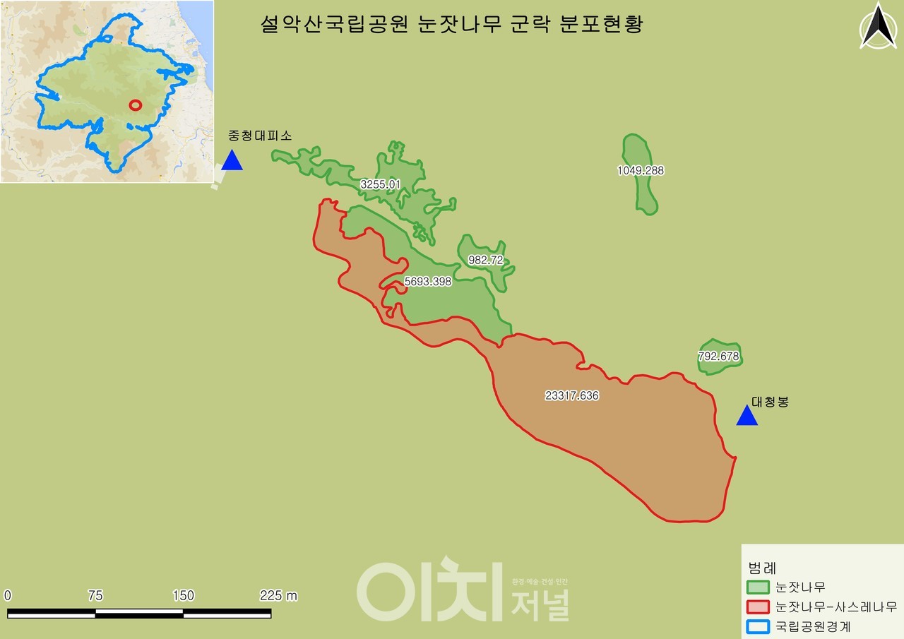 눈잣나무 분포 현황