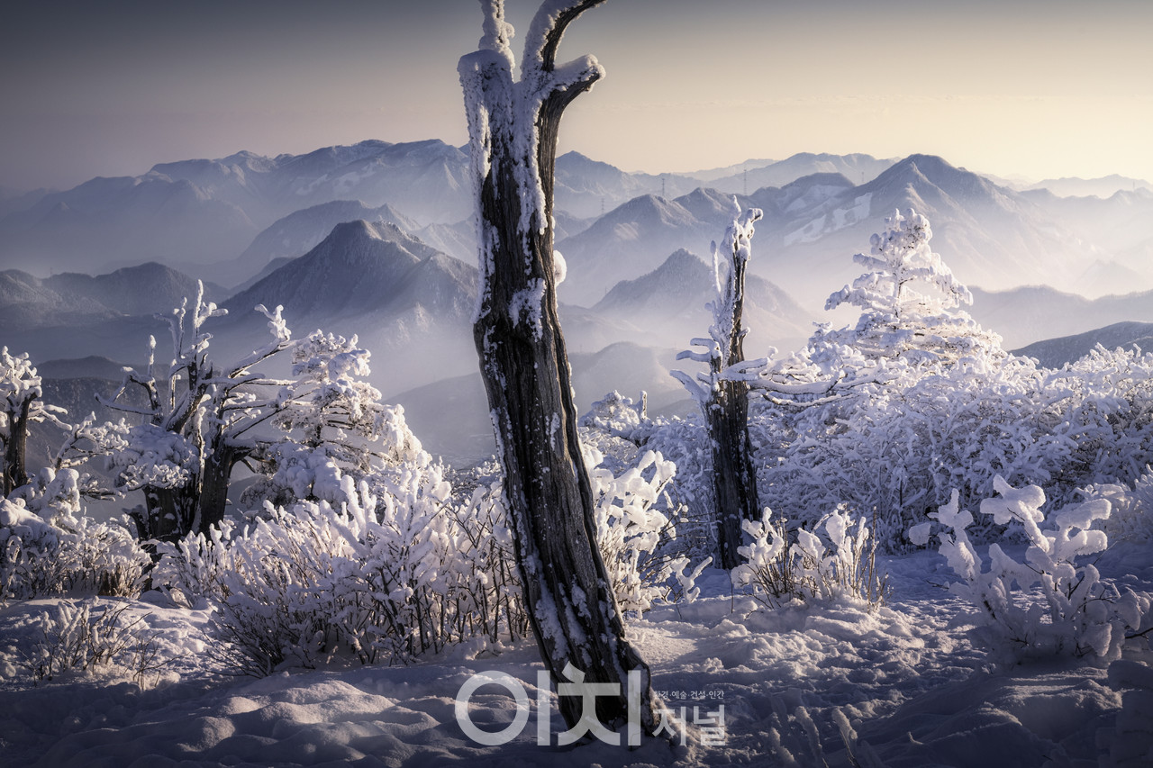 일반부문1 (대상) 태백산국립공원_설경의 태백산_박정식 作