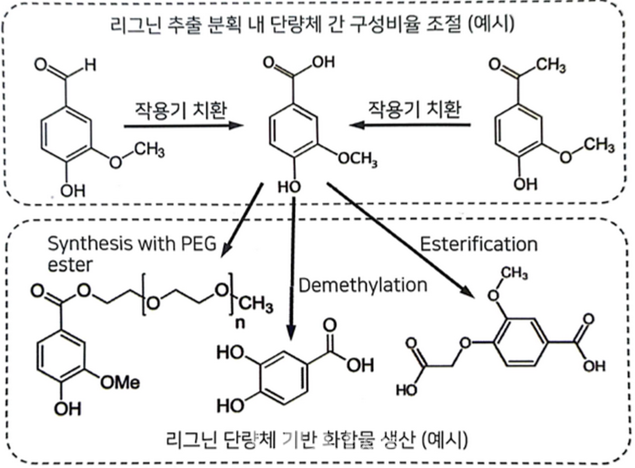 리그닌 단량체 기반 친환경 화합물 생산 예시