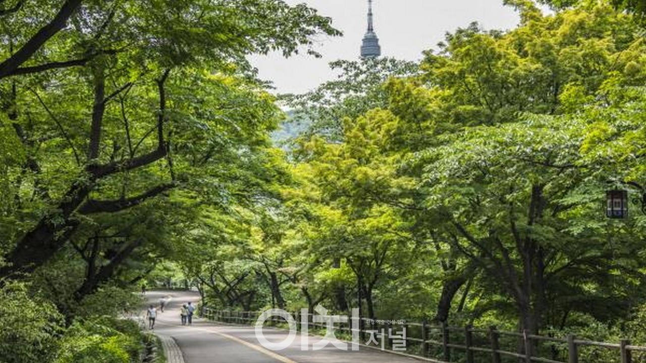 남산공원 도시숲