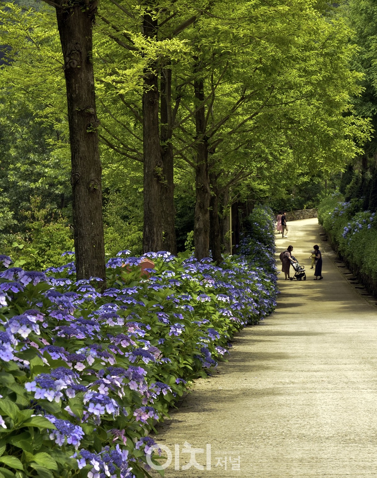 경남 고성의 그레이스정원