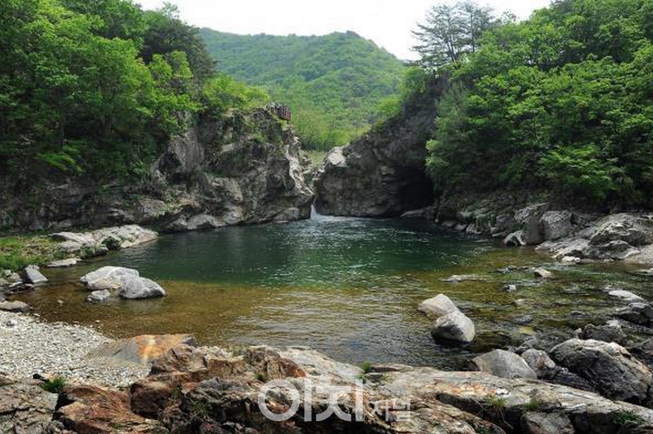 [강원평화지역 국가지질공원] 두타연