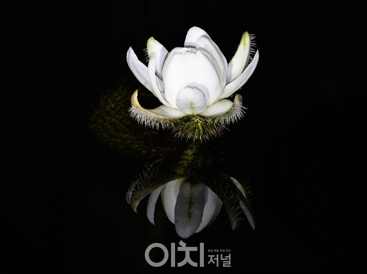 ⓞ이희권 사진작가