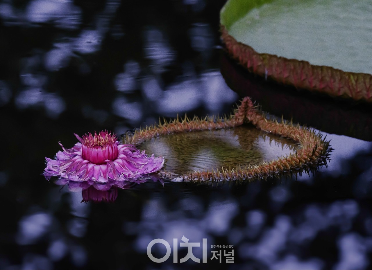 ⓞ이희권 사진작가