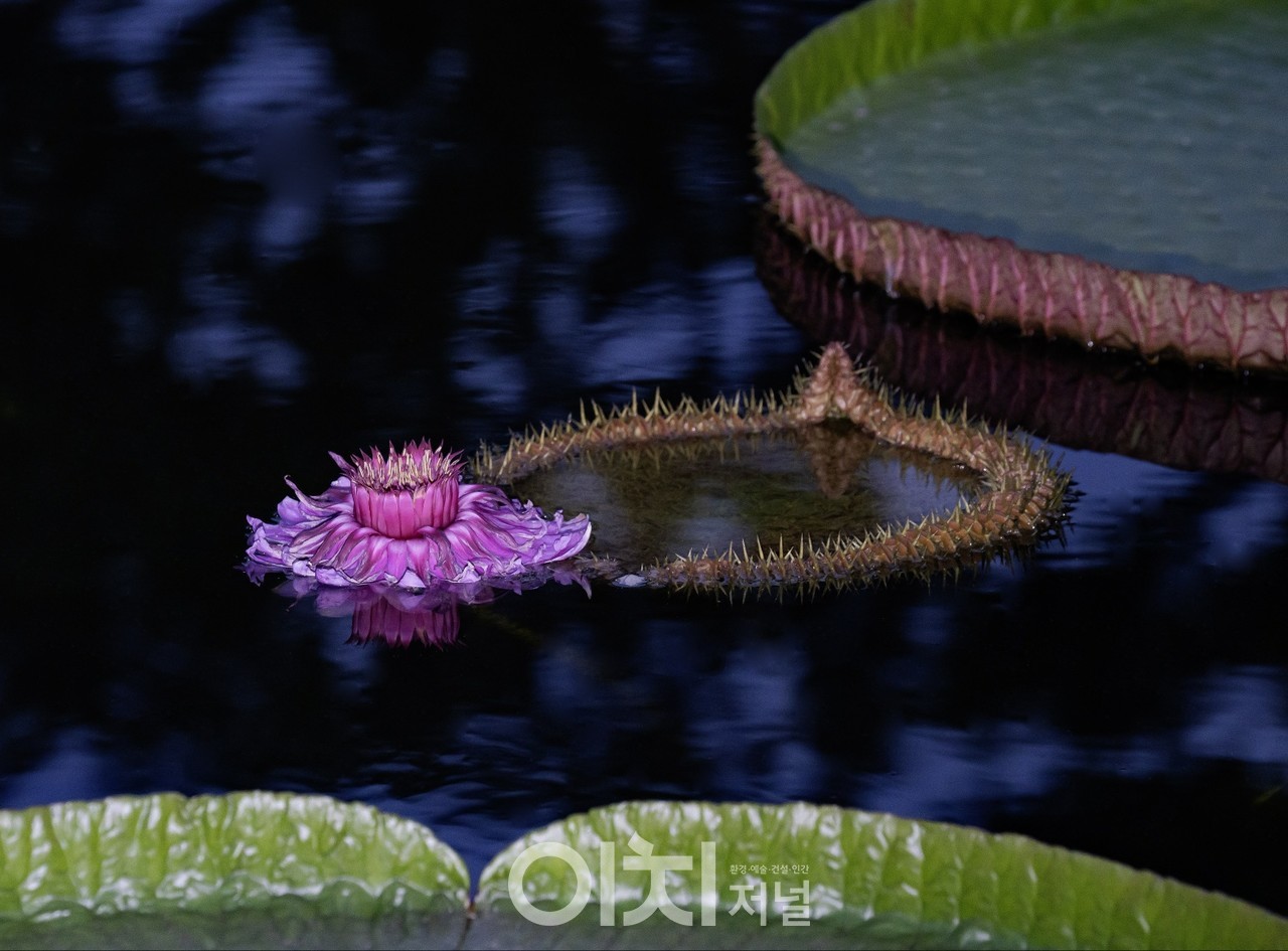 ⓞ이희권 사진작가