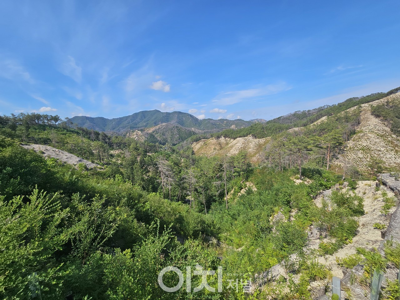 국립울진생태숲 지정대상지