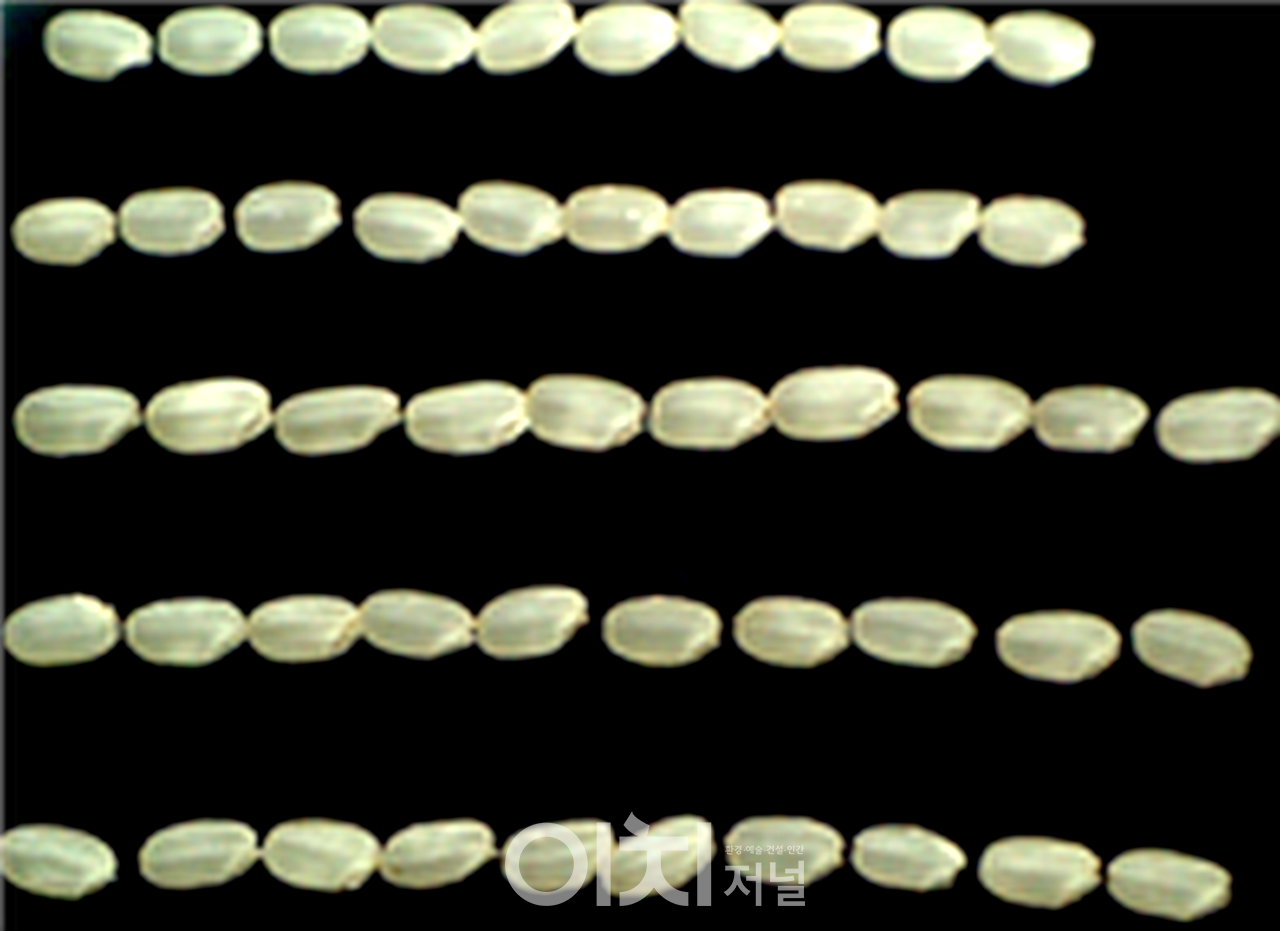 감탄’ 종자 크기