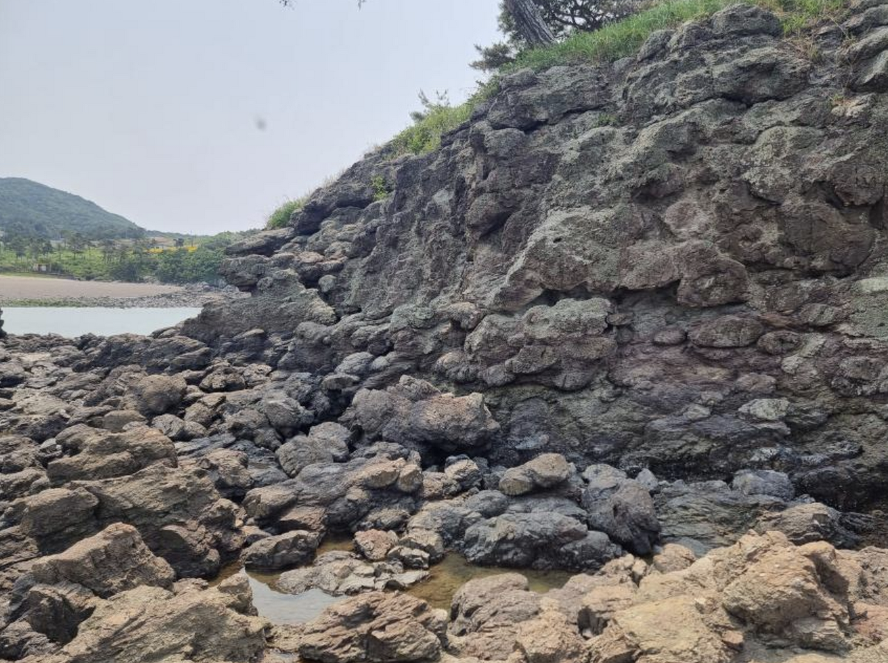 부안 도청리 솔섬 응회암 내 구상구조