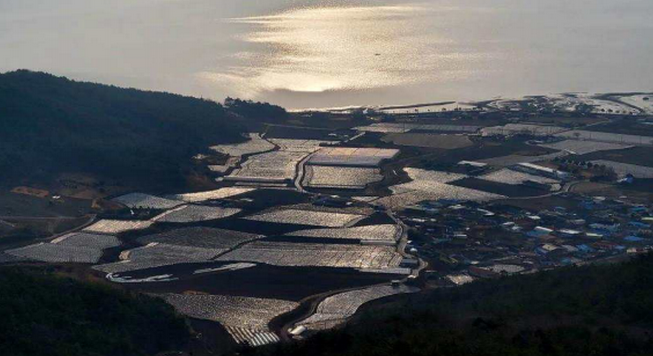 오봉산 정상에서 바라본 득량만 일대