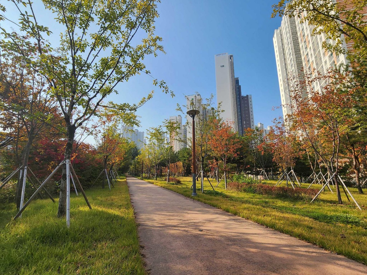 경북 구미 ‘구미국가산업단지 미세먼지 차단숲’