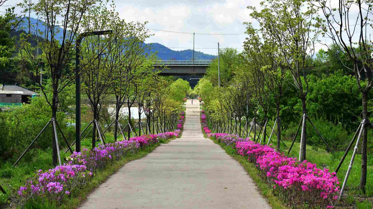 원주시 치악산 바람길숲